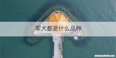军犬都是什么品种