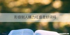 形容别人精力旺盛是好词吗