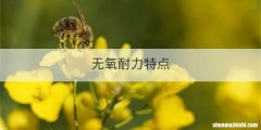 无氧耐力特点