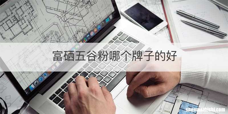 富硒五谷粉哪个牌子的好