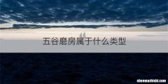 五谷磨房属于什么类型