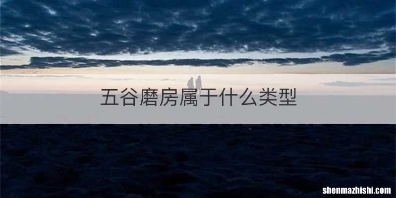 五谷磨房属于什么类型