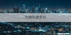 为啥叫婆罗衫