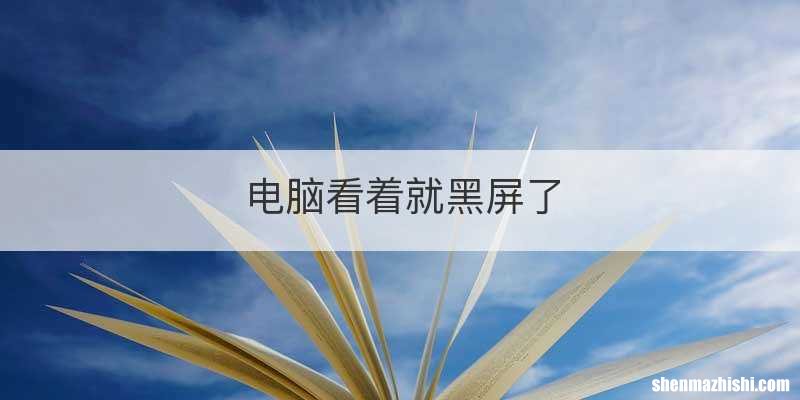 电脑看着就黑屏了