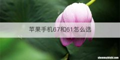 苹果手机67和61怎么选