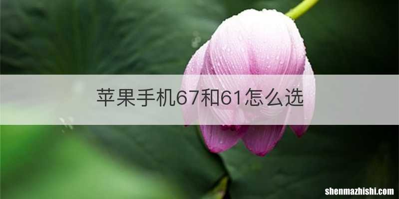 苹果手机67和61怎么选