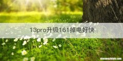 13pro升级161掉电好快