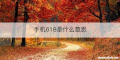 手机618是什么意思