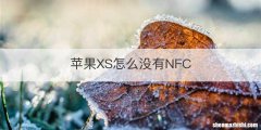 苹果XS怎么没有NFC