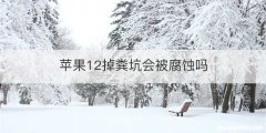 苹果12掉粪坑会被腐蚀吗