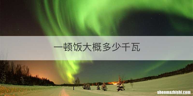 一顿饭大概多少千瓦
