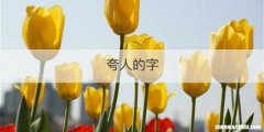 夸人的字