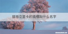 插独立显卡的插槽叫什么名字
