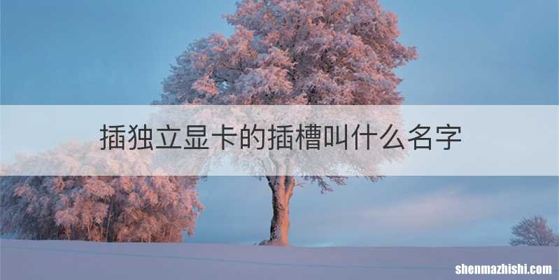 插独立显卡的插槽叫什么名字