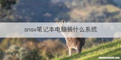 snsv笔记本电脑装什么系统