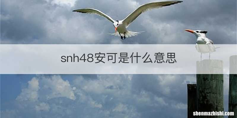 snh48安可是什么意思