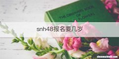 snh48报名要几岁