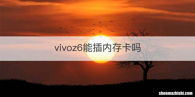 vivoz6能插内存卡吗