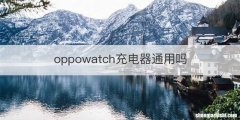 oppowatch充电器通用吗