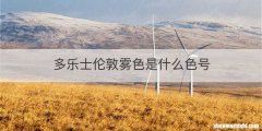 多乐士伦敦雾色是什么色号