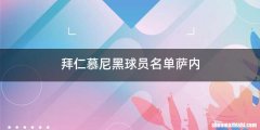 拜仁慕尼黑球员名单萨内