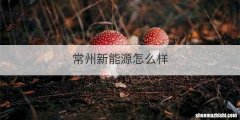 常州新能源怎么样