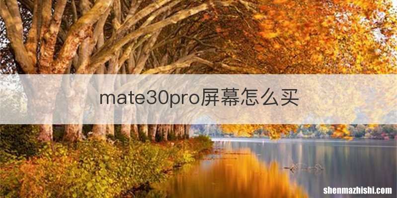 mate30pro屏幕怎么买