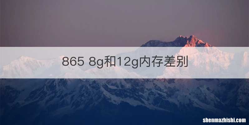 865 8g和12g内存差别