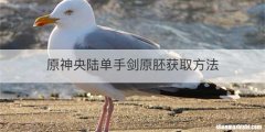 原神央陆单手剑原胚获取方法