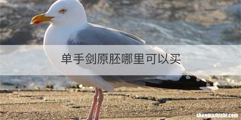 单手剑原胚哪里可以买