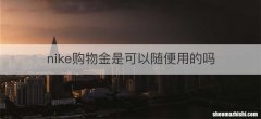 nike购物金是可以随便用的吗
