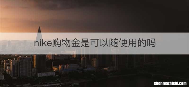 nike购物金是可以随便用的吗