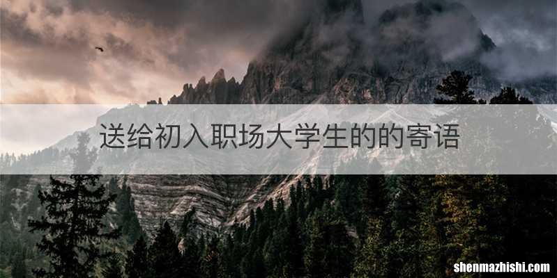 送给初入职场大学生的的寄语