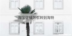 淘宝店铺怎么转到淘特