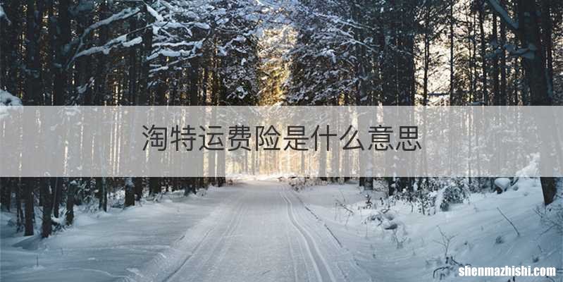 淘特运费险是什么意思