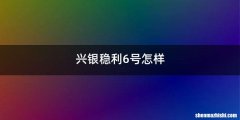 兴银稳利6号怎样