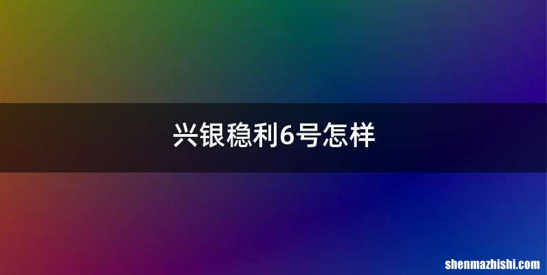 兴银稳利6号怎样
