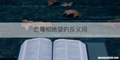 悲痛和绝望的反义词