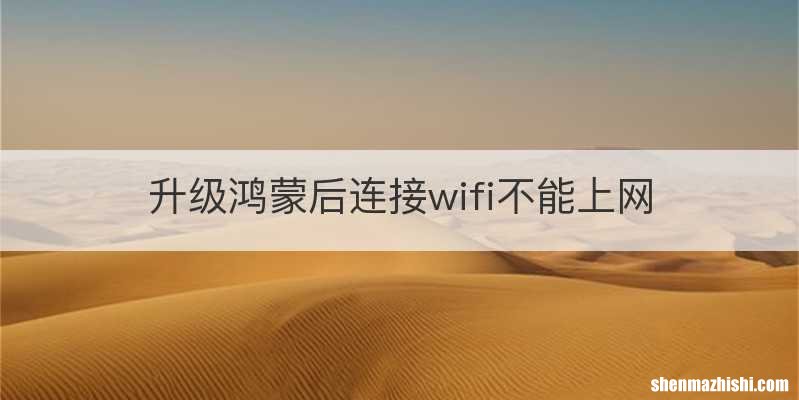 升级鸿蒙后连接wifi不能上网