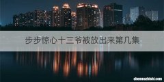 步步惊心十三爷被放出来第几集