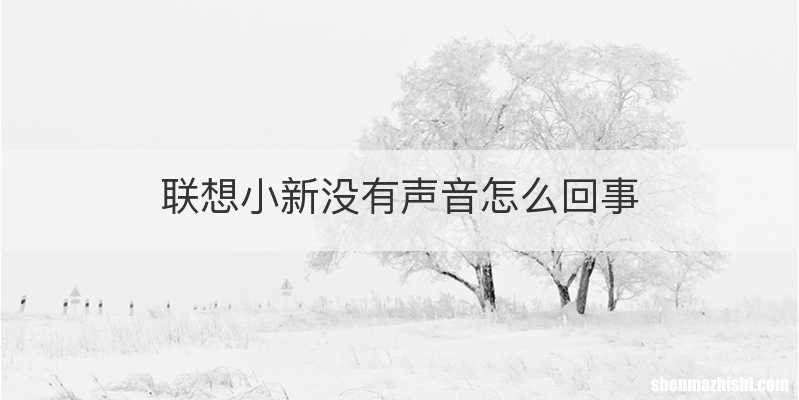 联想小新没有声音怎么回事