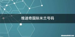 维迪奇国际米兰号码