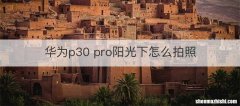华为p30 pro阳光下怎么拍照
