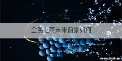 全民电商未来前景如何