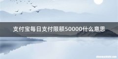 支付宝每日支付限额50000什么意思