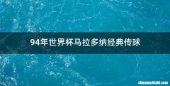 94年世界杯马拉多纳经典传球