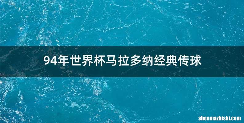 94年世界杯马拉多纳经典传球