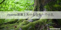 realme屏幕上为什么会有一个小孔