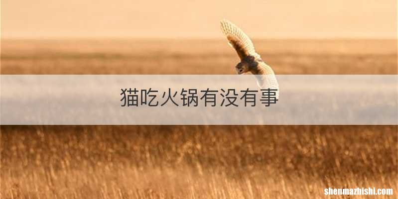 猫吃火锅有没有事