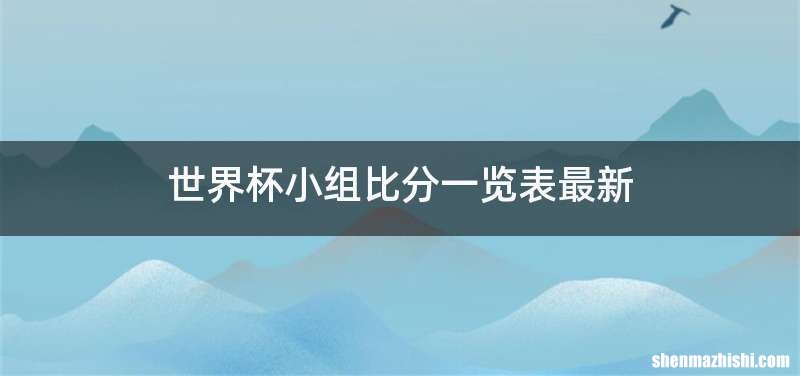 世界杯小组比分一览表最新